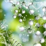 23andme raw data health analysis analyze ancestrydna raw data