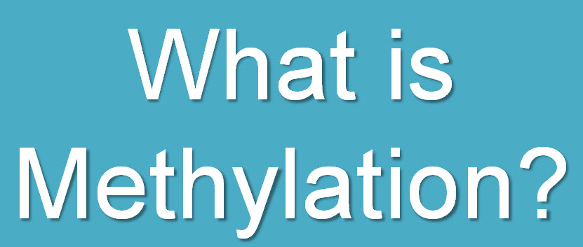 What is methylation
