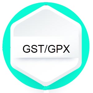 GST GPX gene mutations