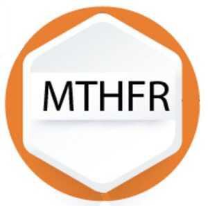 MTHFR gene